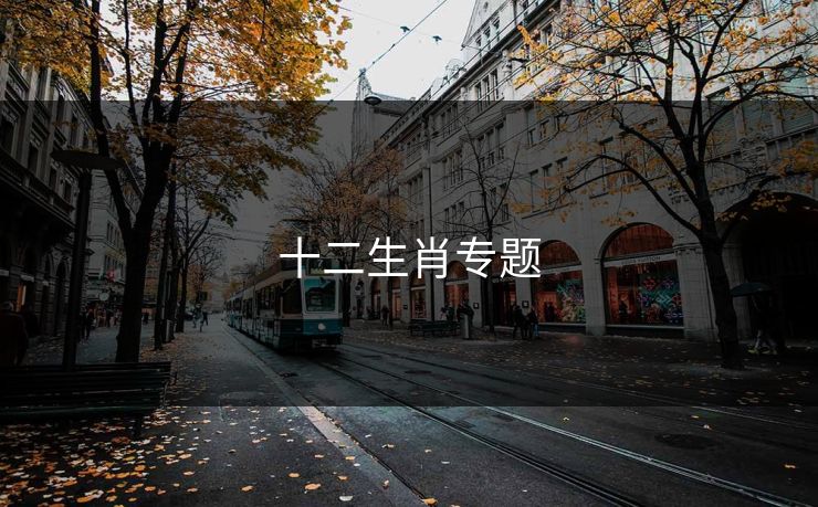 十二生肖专题