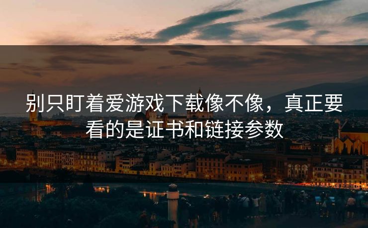 别只盯着爱游戏下载像不像，真正要看的是证书和链接参数