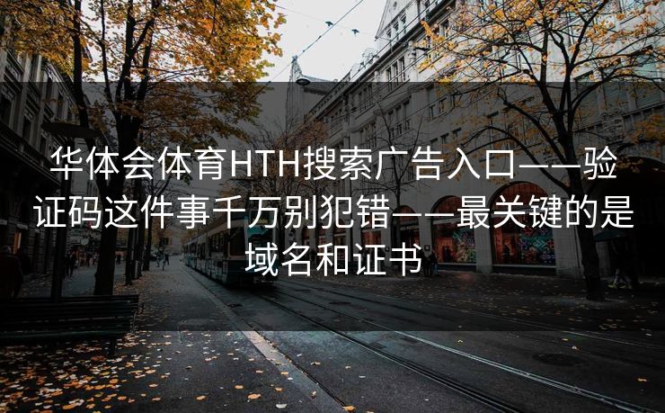 华体会体育HTH搜索广告入口——验证码这件事千万别犯错——最关键的是域名和证书