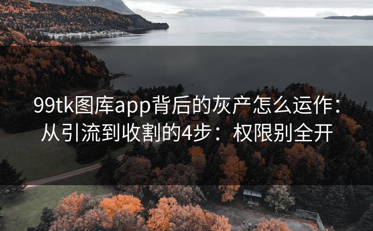 99tk图库app背后的灰产怎么运作：从引流到收割的4步：权限别全开